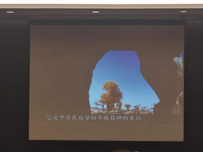 綿陽中旅行假日旅行社舉行胡楊林、南疆專列推薦會(huì)